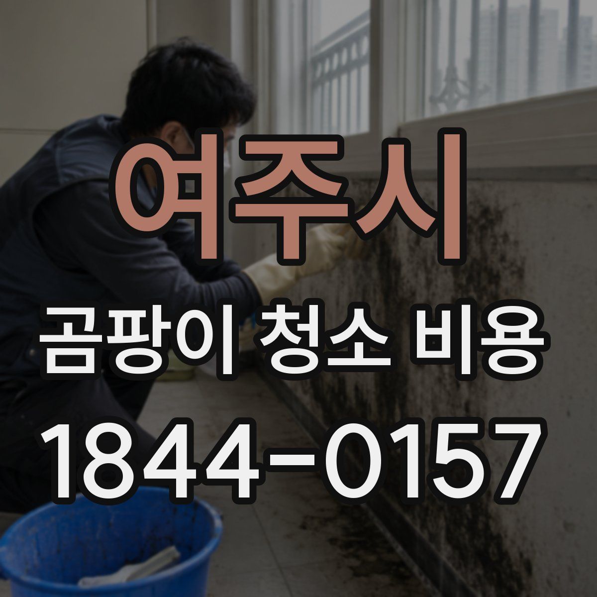 여주시 곰팡이 청소 비용