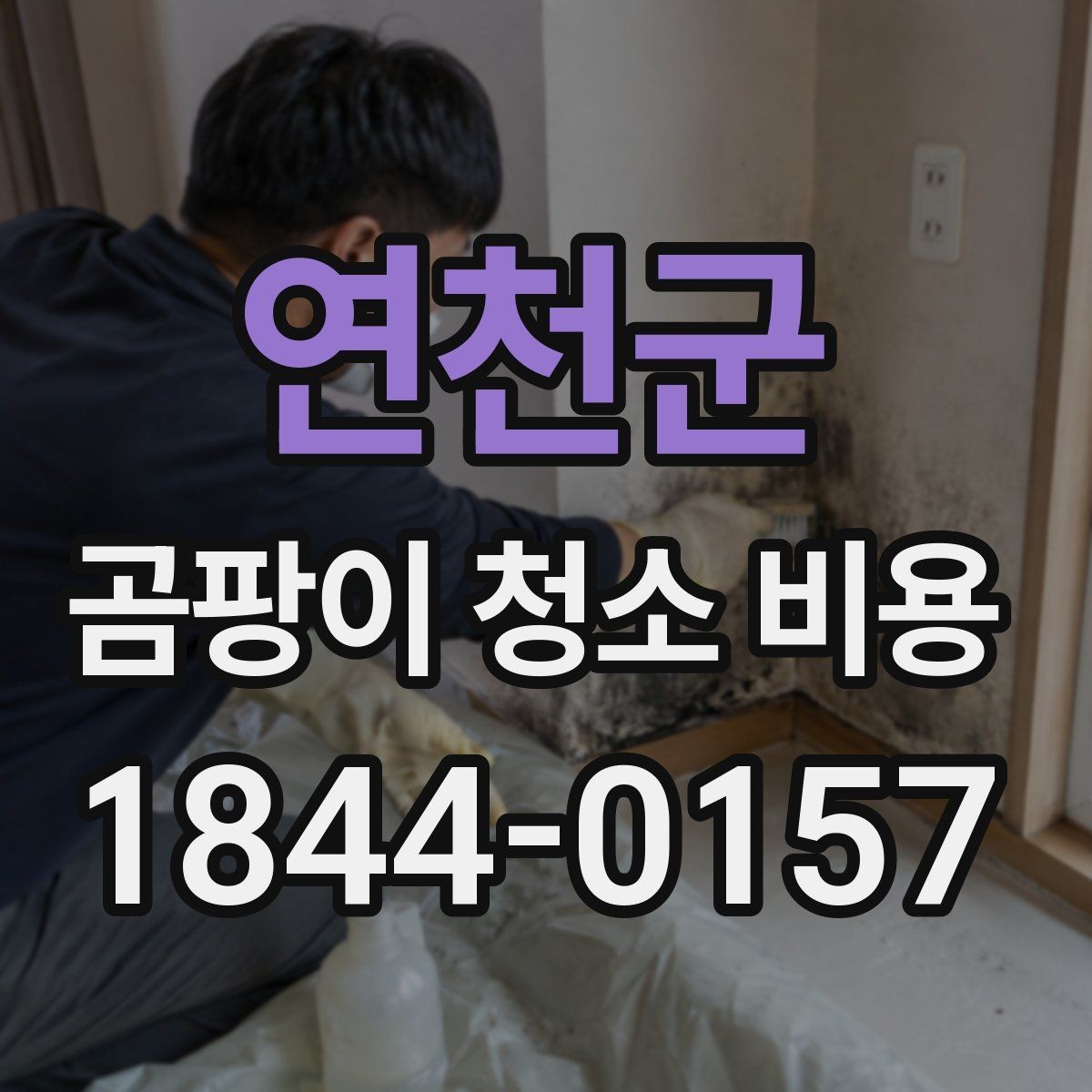 연천군 곰팡이 청소 비용 세입자와 집주인 분담을 보는 사례