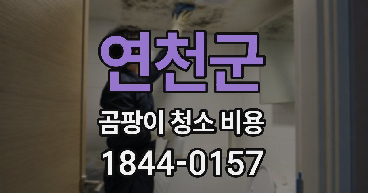 연천군 곰팡이 청소 비용