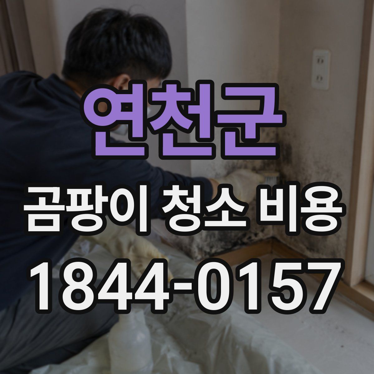 연천군 곰팡이 청소 비용