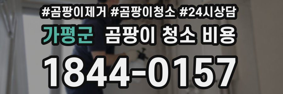 가평군 곰팡이 청소 비용