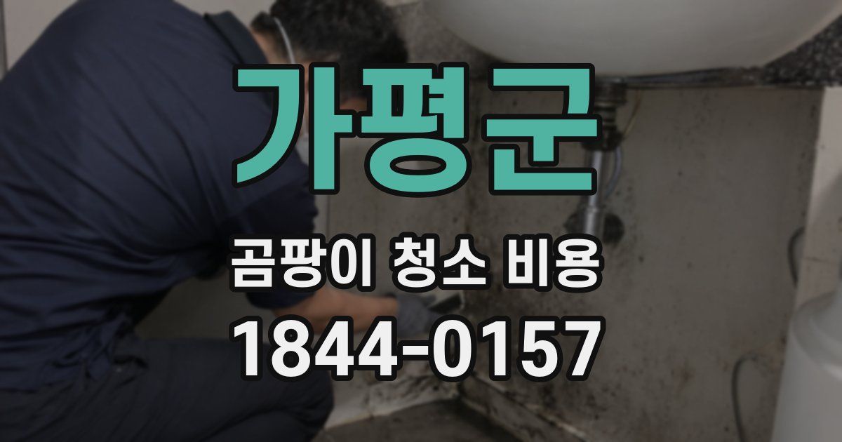 가평군 곰팡이 청소 비용