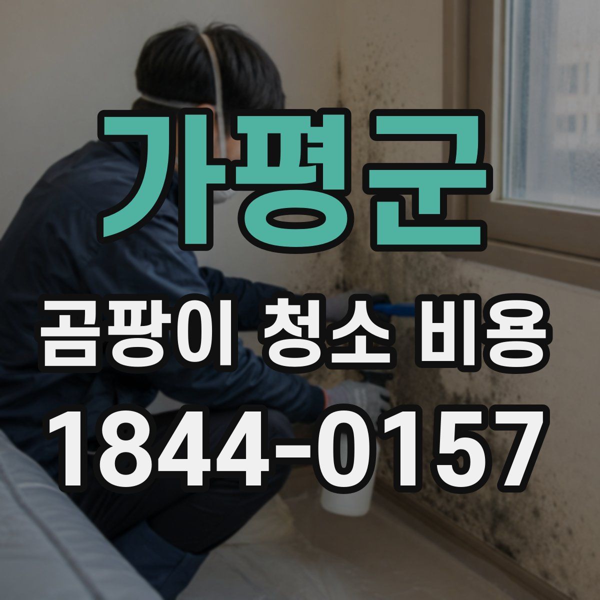 가평군 곰팡이 청소 비용