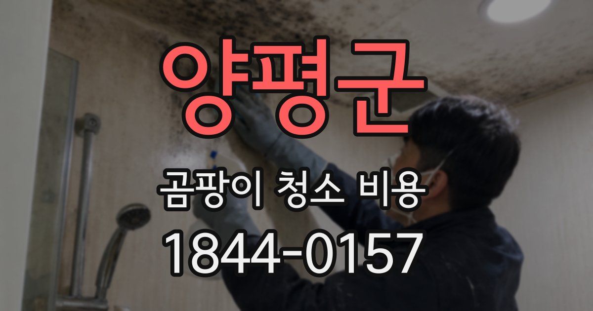 양평군 곰팡이 청소 비용