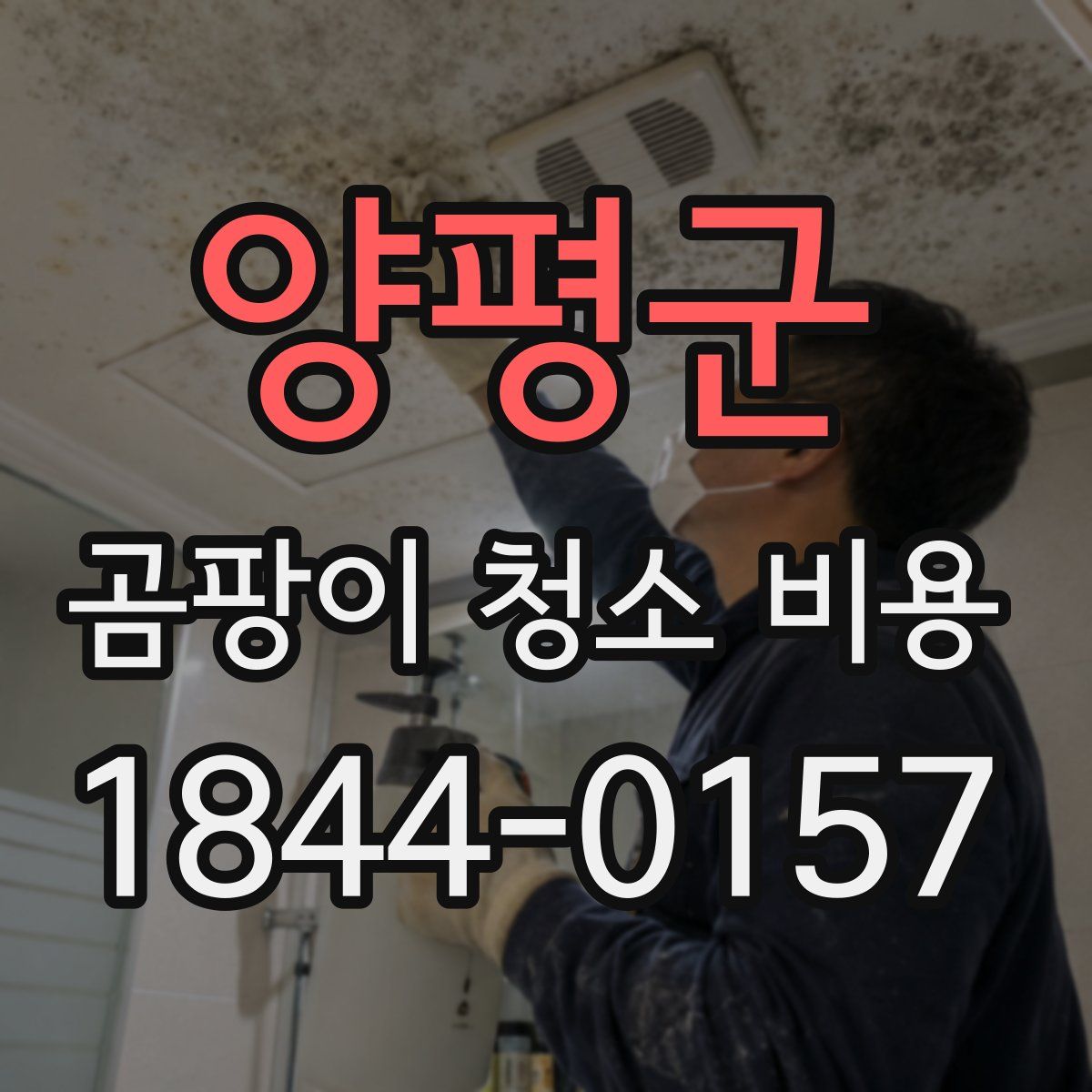 양평군 곰팡이 청소 비용
