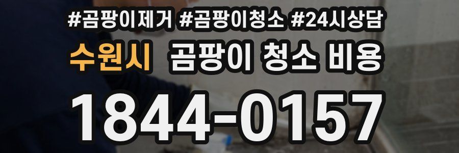 수원시 곰팡이 청소 비용