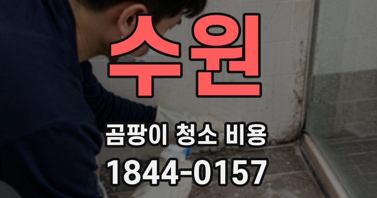 수원 곰팡이 청소 비용