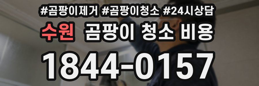 수원 곰팡이 청소 비용