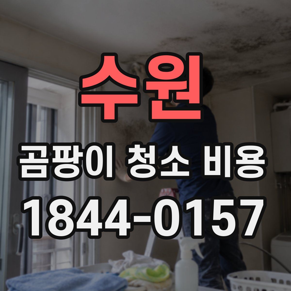수원 곰팡이 청소 비용