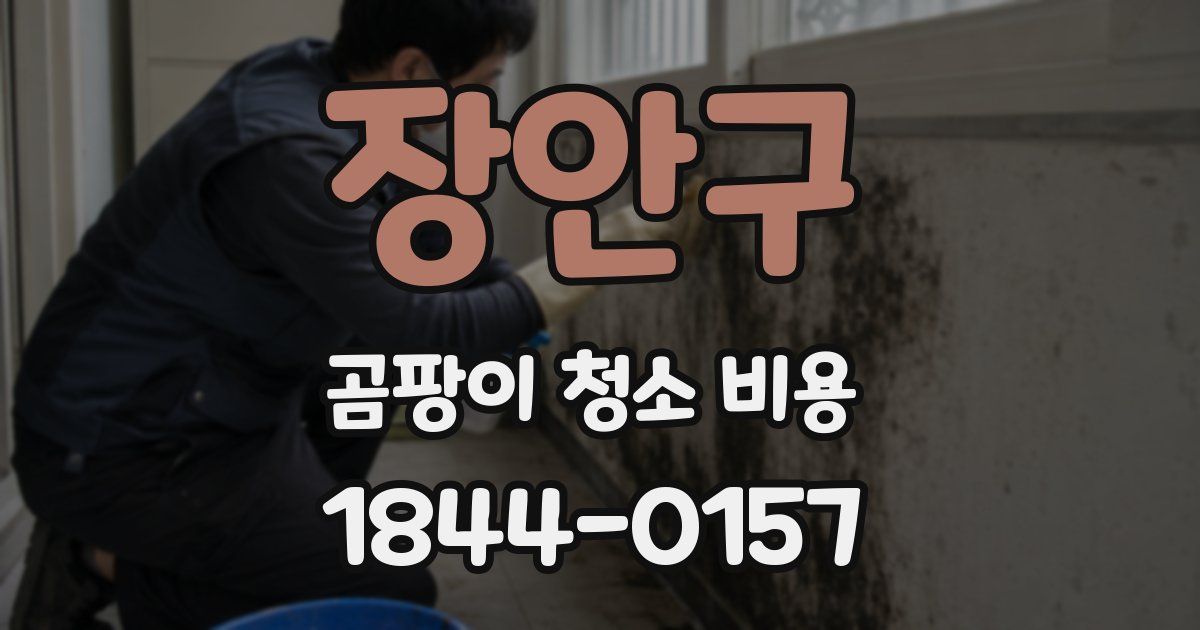 장안구 곰팡이 청소 비용