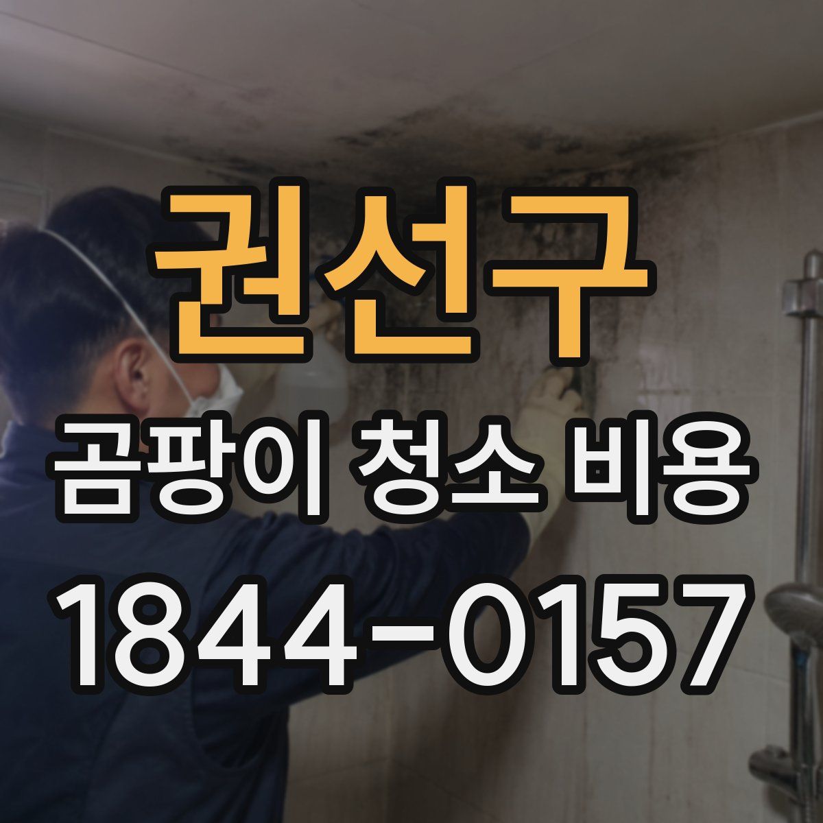권선구 곰팡이 청소 비용