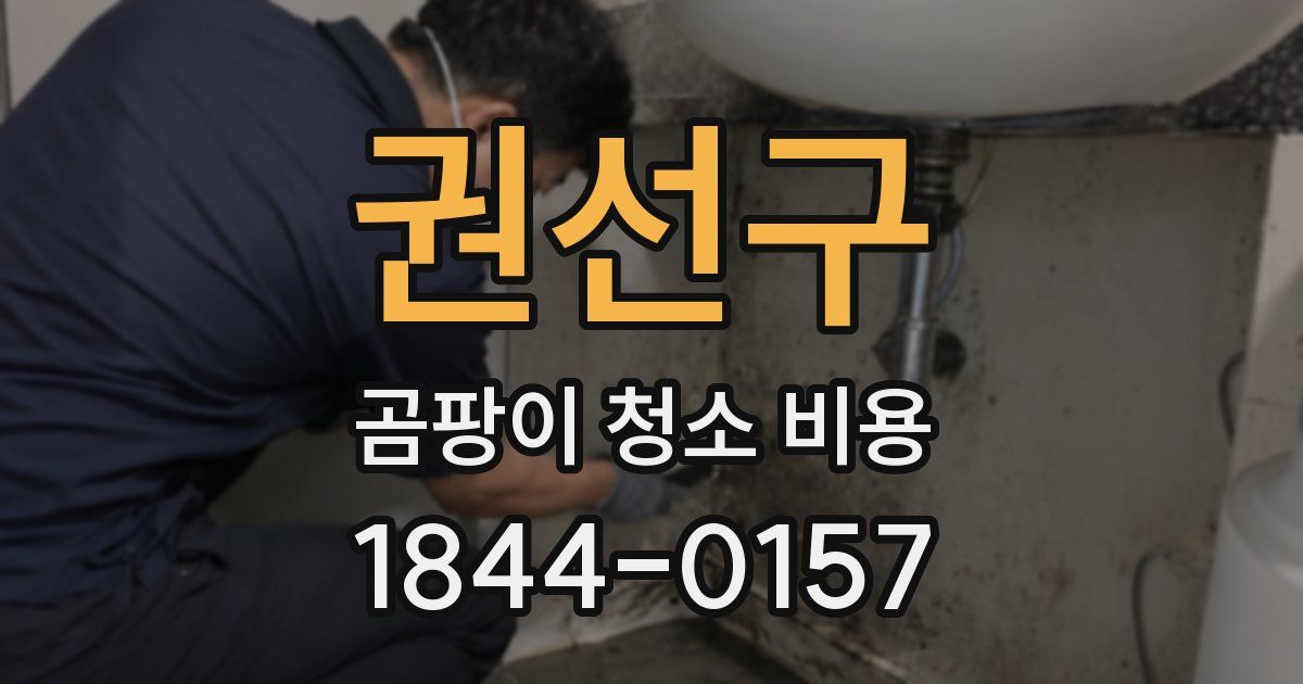 권선구 곰팡이 청소 비용