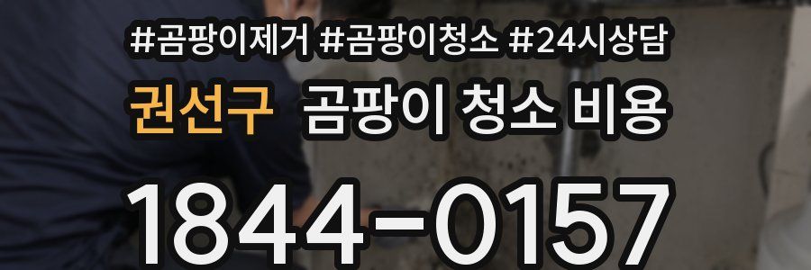 권선구 곰팡이 청소 비용