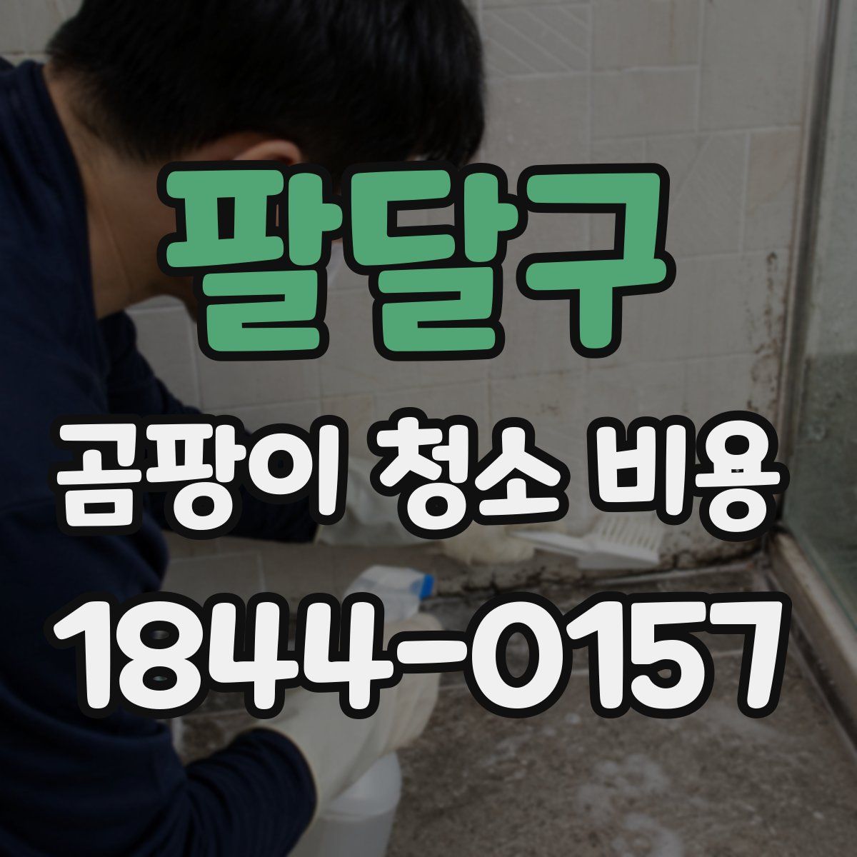 팔달구 곰팡이 청소 비용