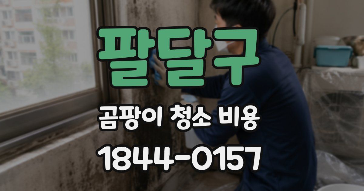 팔달구 곰팡이 청소 비용