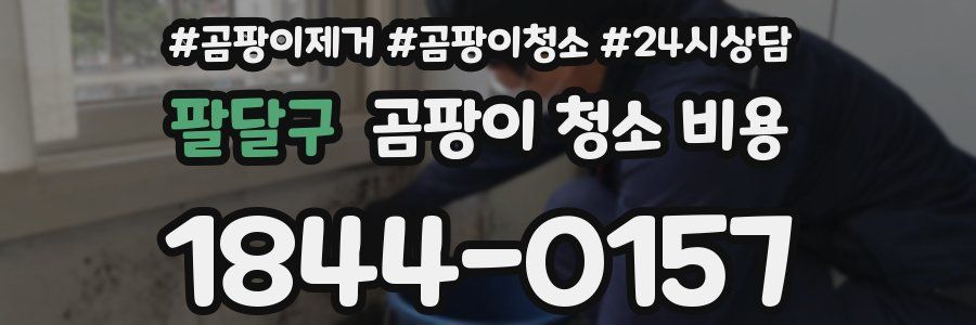팔달구 곰팡이 청소 비용