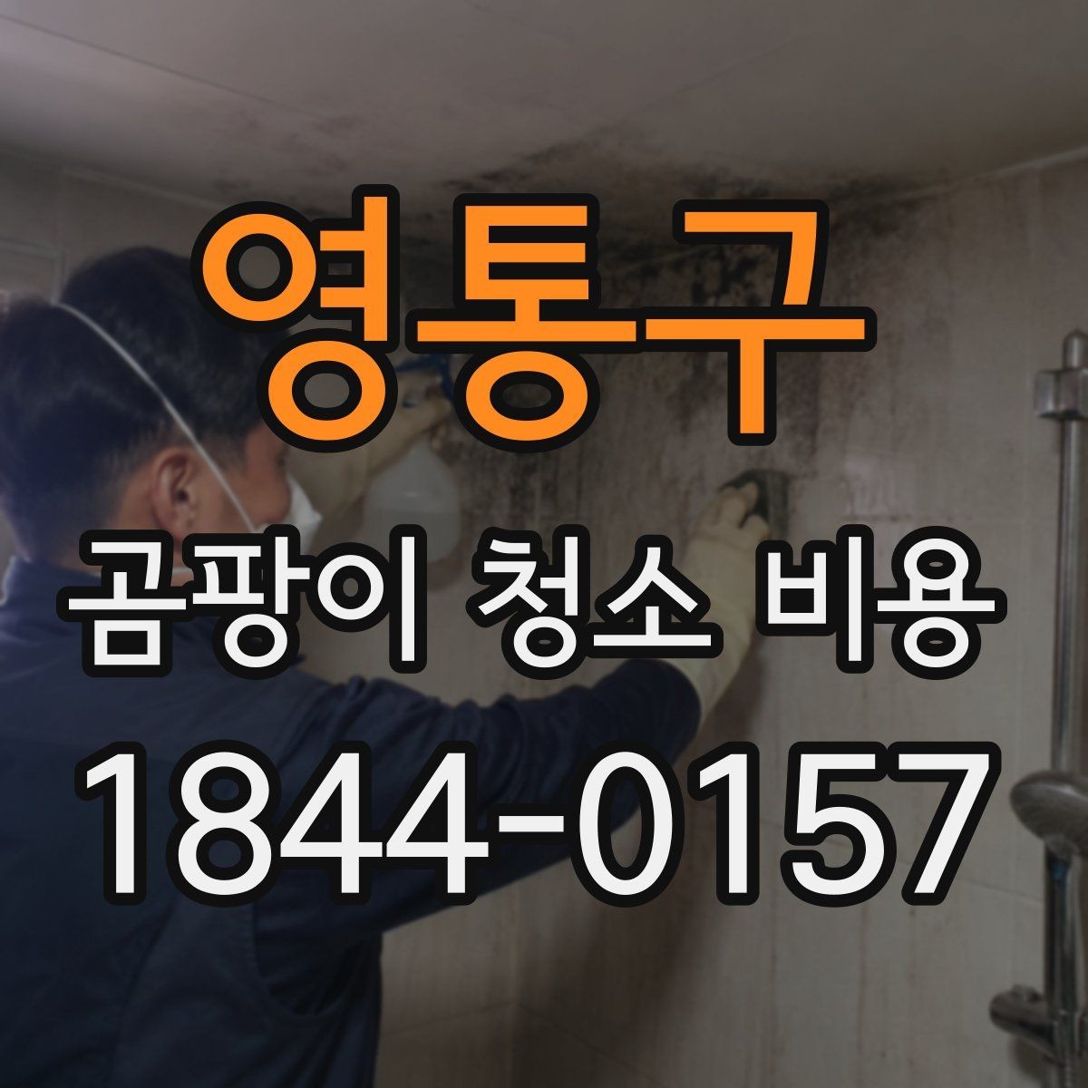 영통구 곰팡이 청소 비용 벽지 손상 정도에 따라 달라지는 실제 견적