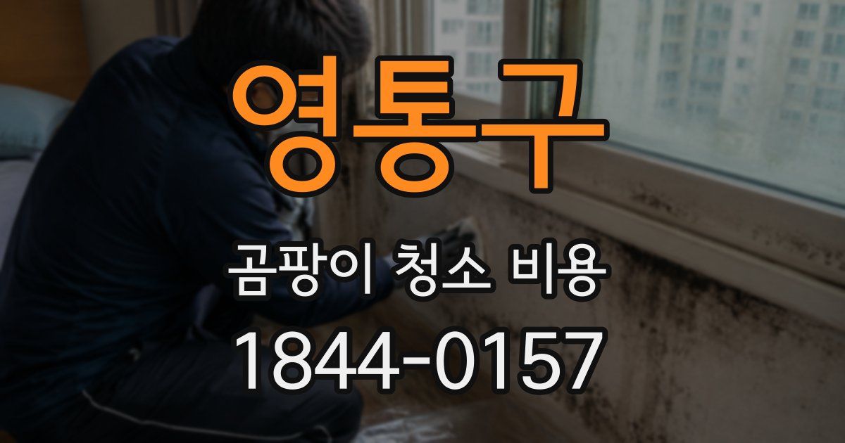 영통구 곰팡이 청소 비용