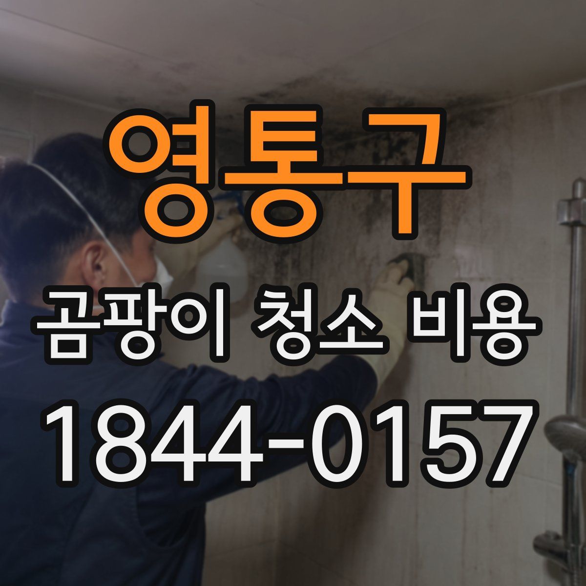 영통구 곰팡이 청소 비용