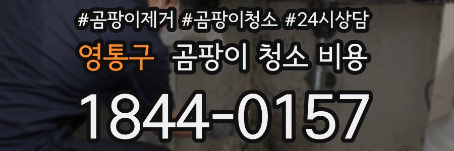 영통구 곰팡이 청소 비용