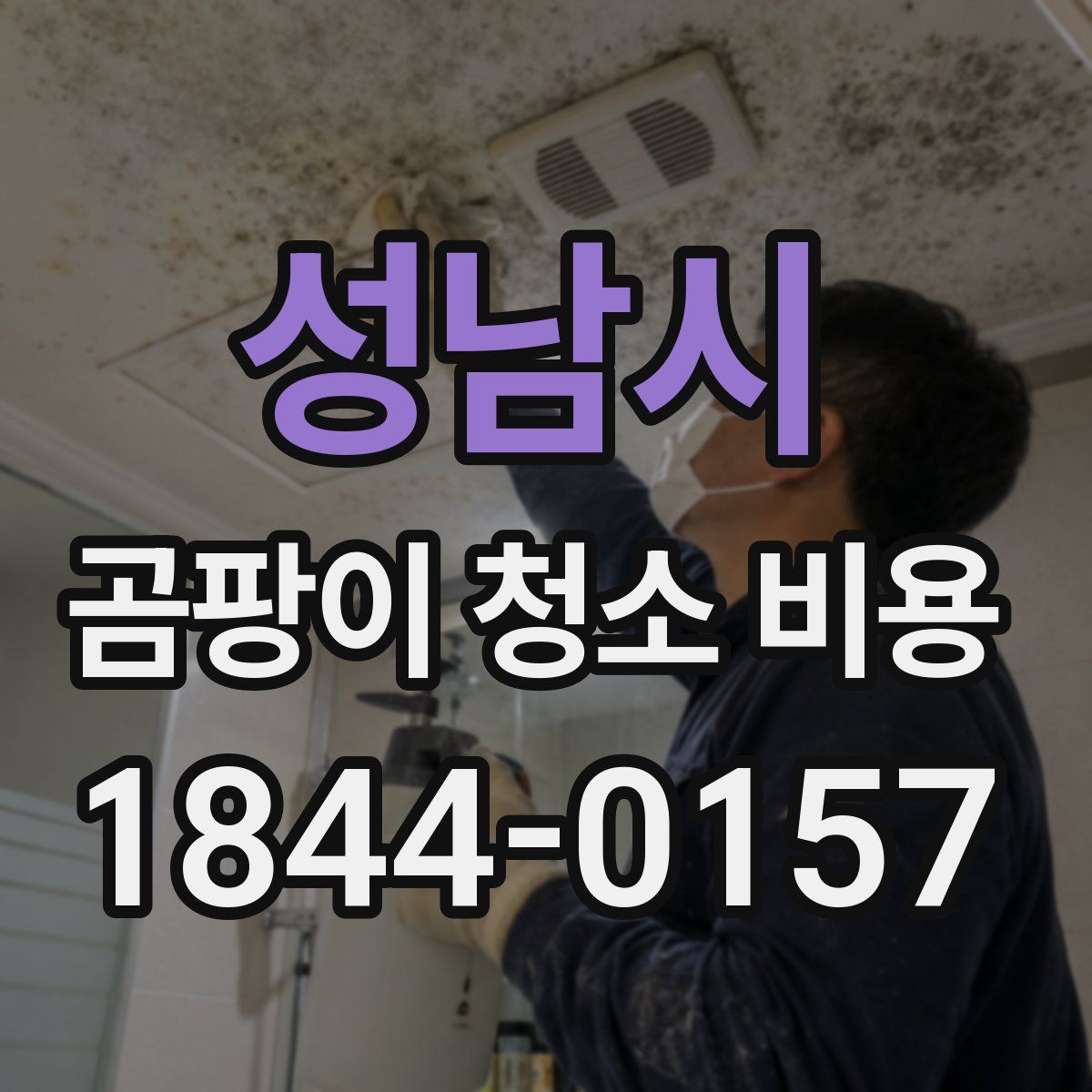 성남시 곰팡이 청소 비용