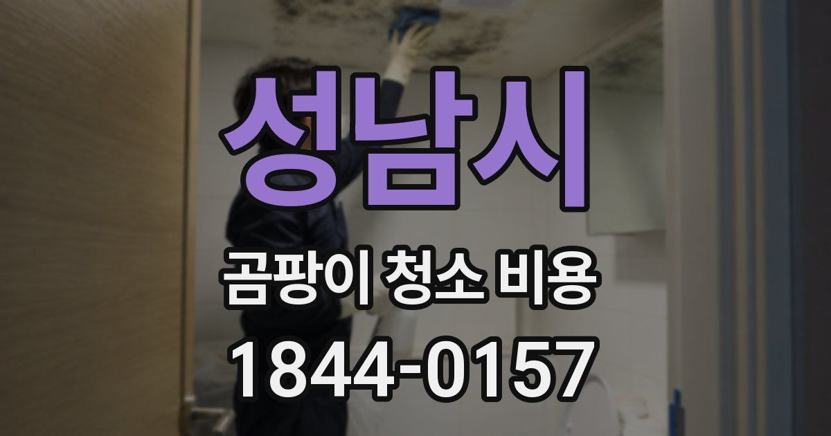 성남시 곰팡이 청소 비용