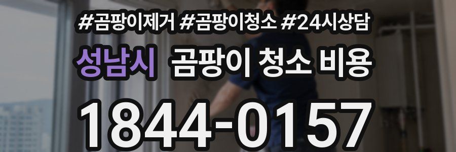 성남시 곰팡이 청소 비용