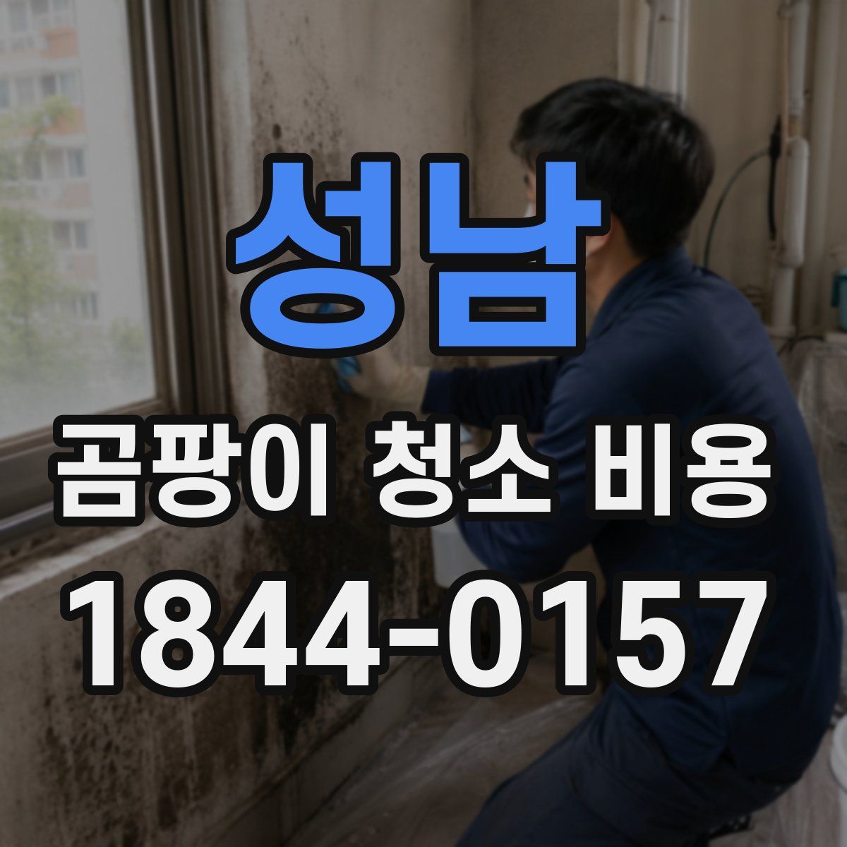성남 곰팡이 청소 비용