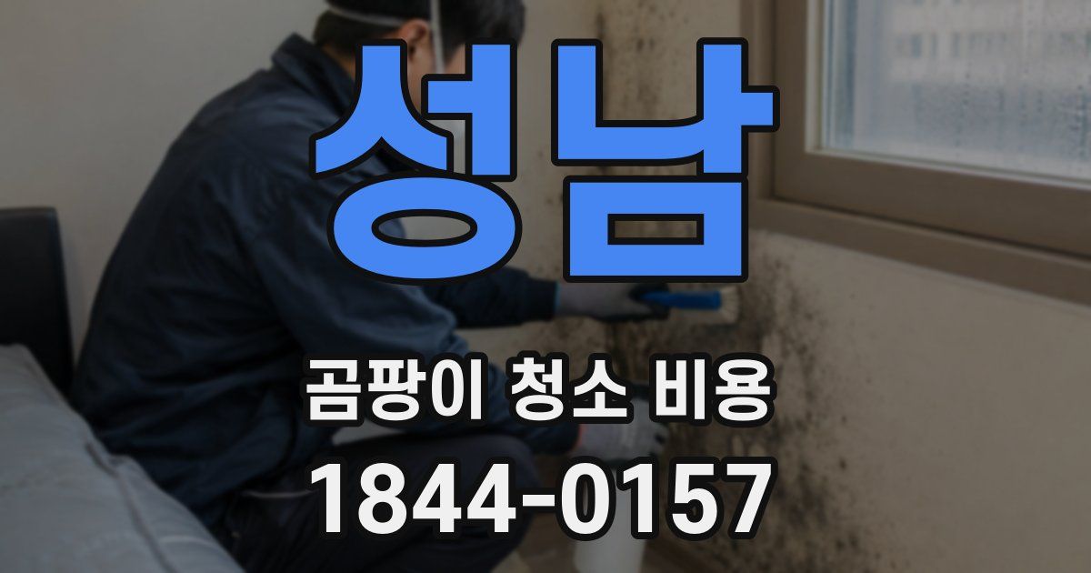 성남 곰팡이 청소 비용
