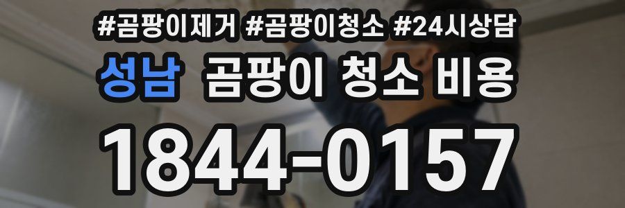 성남 곰팡이 청소 비용
