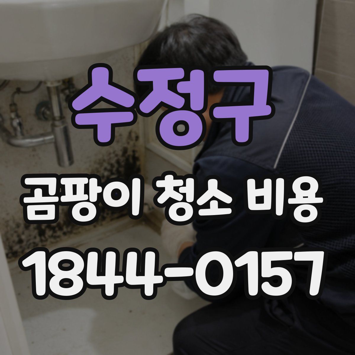 수정구 곰팡이 청소 비용