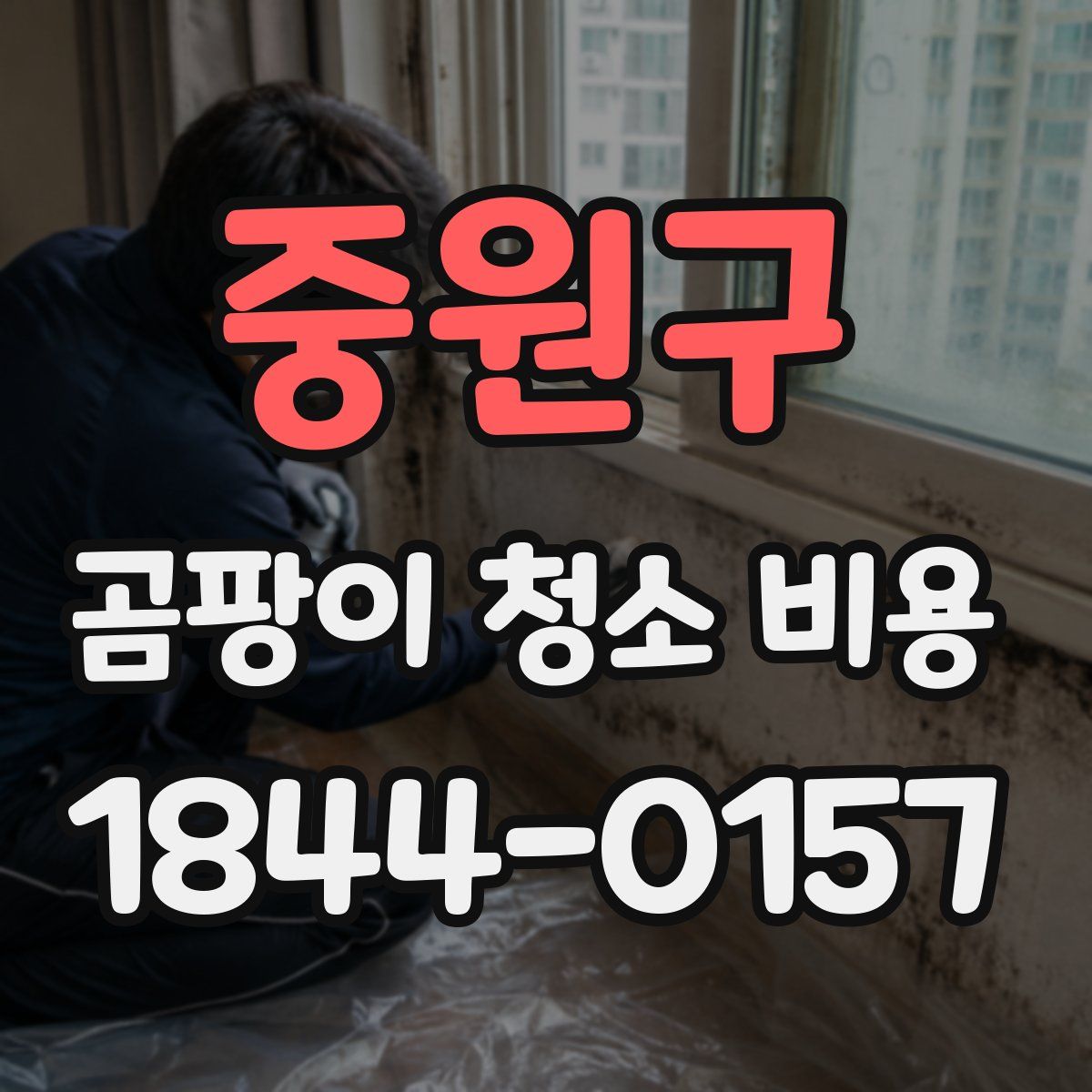 중원구 곰팡이 청소 비용