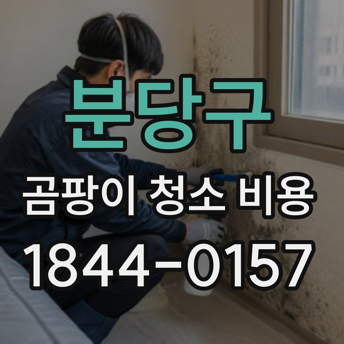 분당구 곰팡이 청소 비용