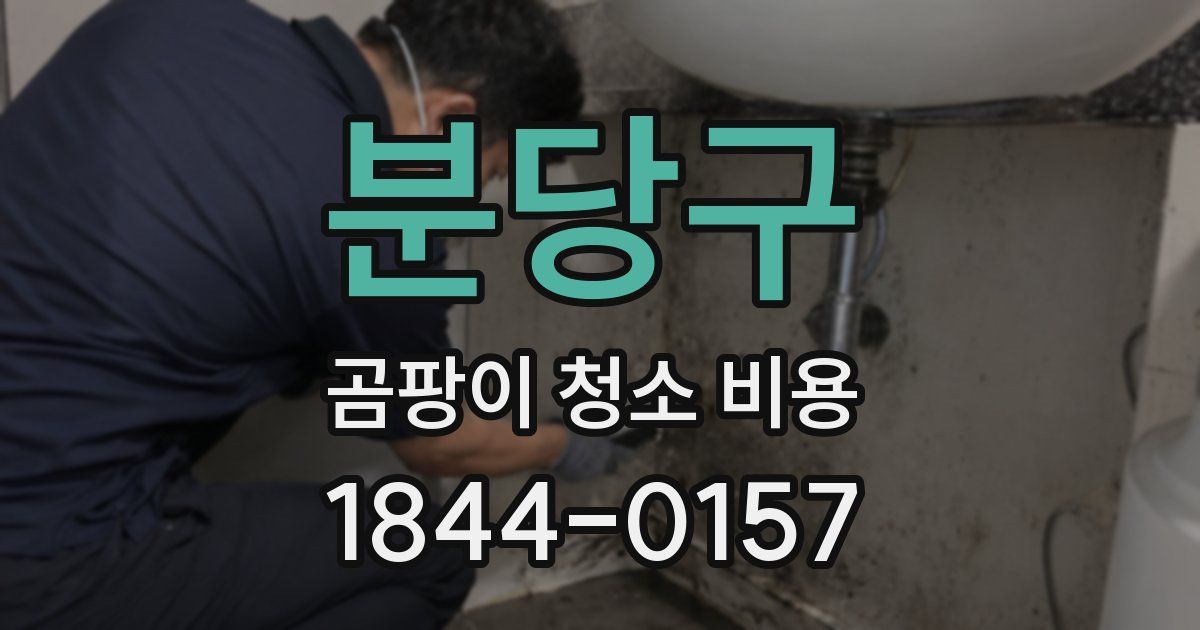 분당구 곰팡이 청소 비용