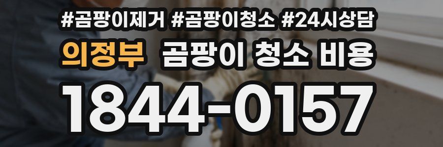 의정부 곰팡이 청소 비용