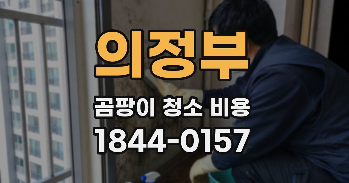 의정부 곰팡이 청소 비용