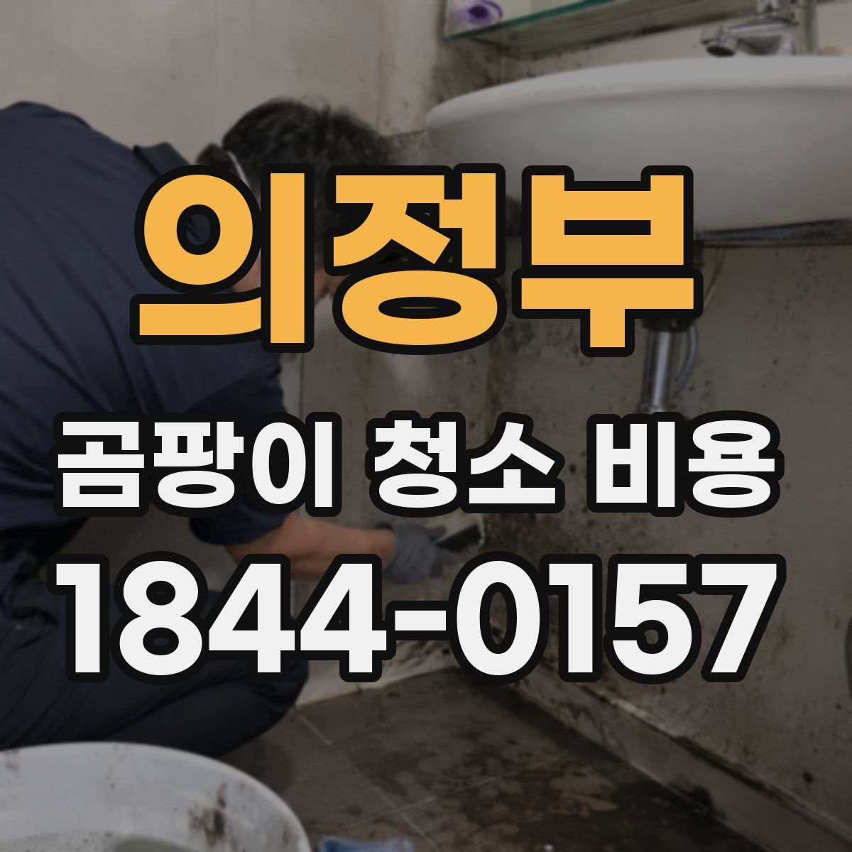 의정부 곰팡이 청소 비용