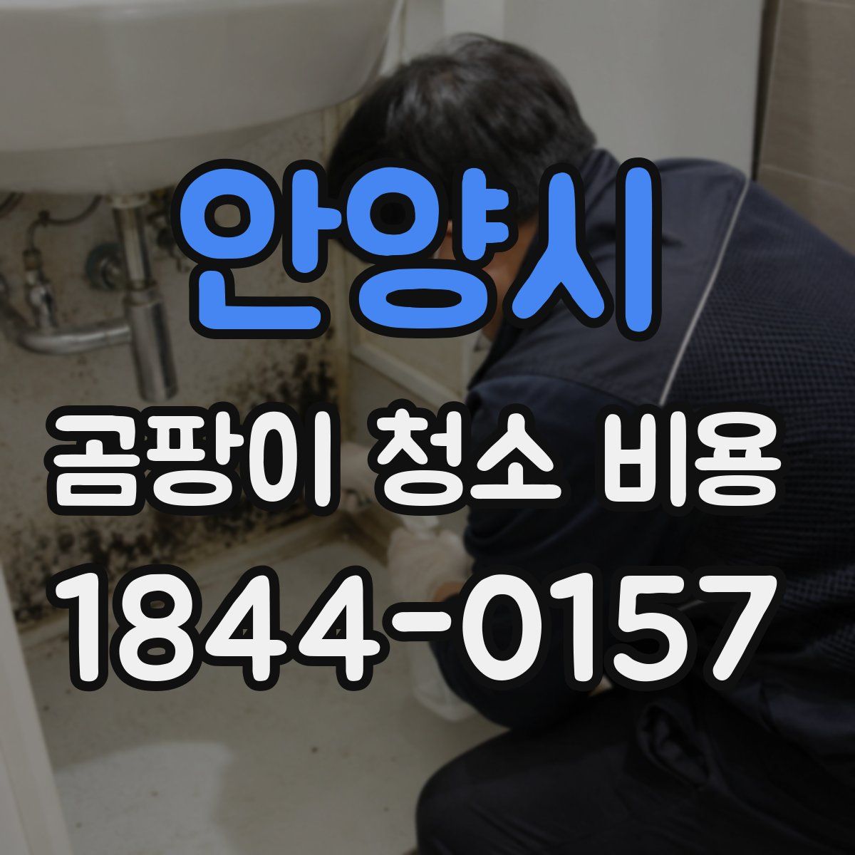 안양시 곰팡이 청소 비용