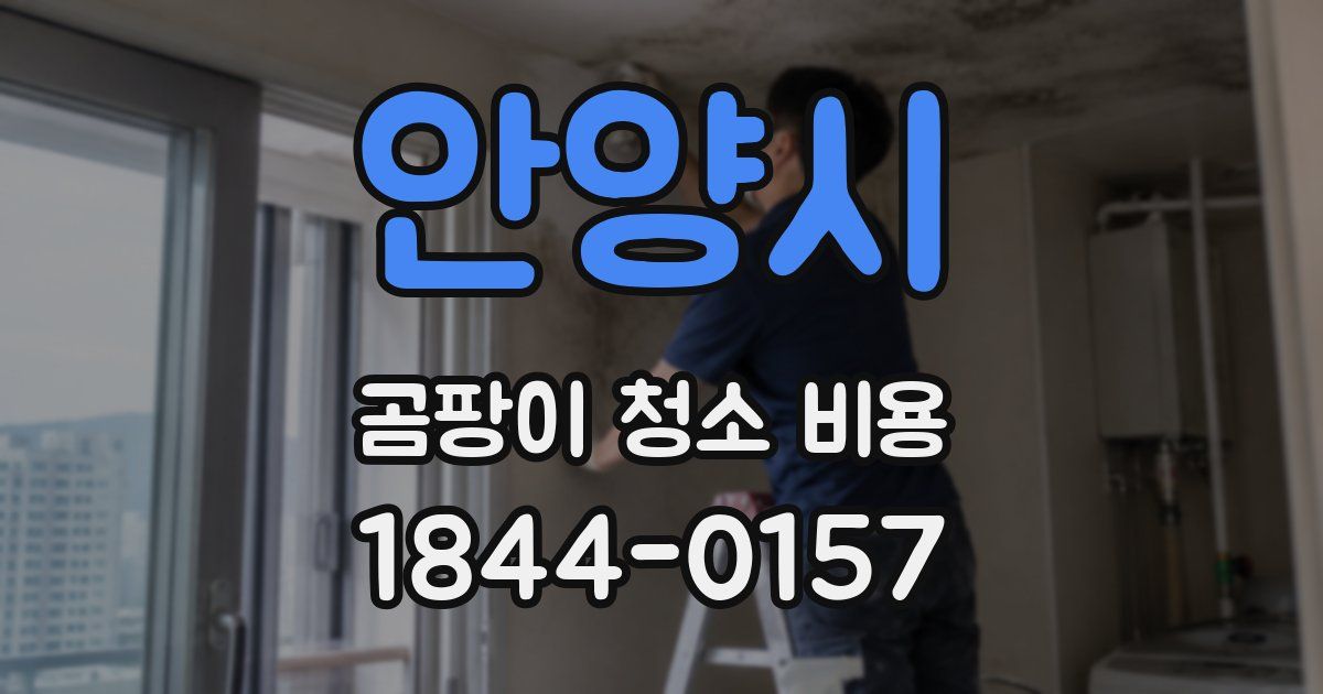 안양시 곰팡이 청소 비용