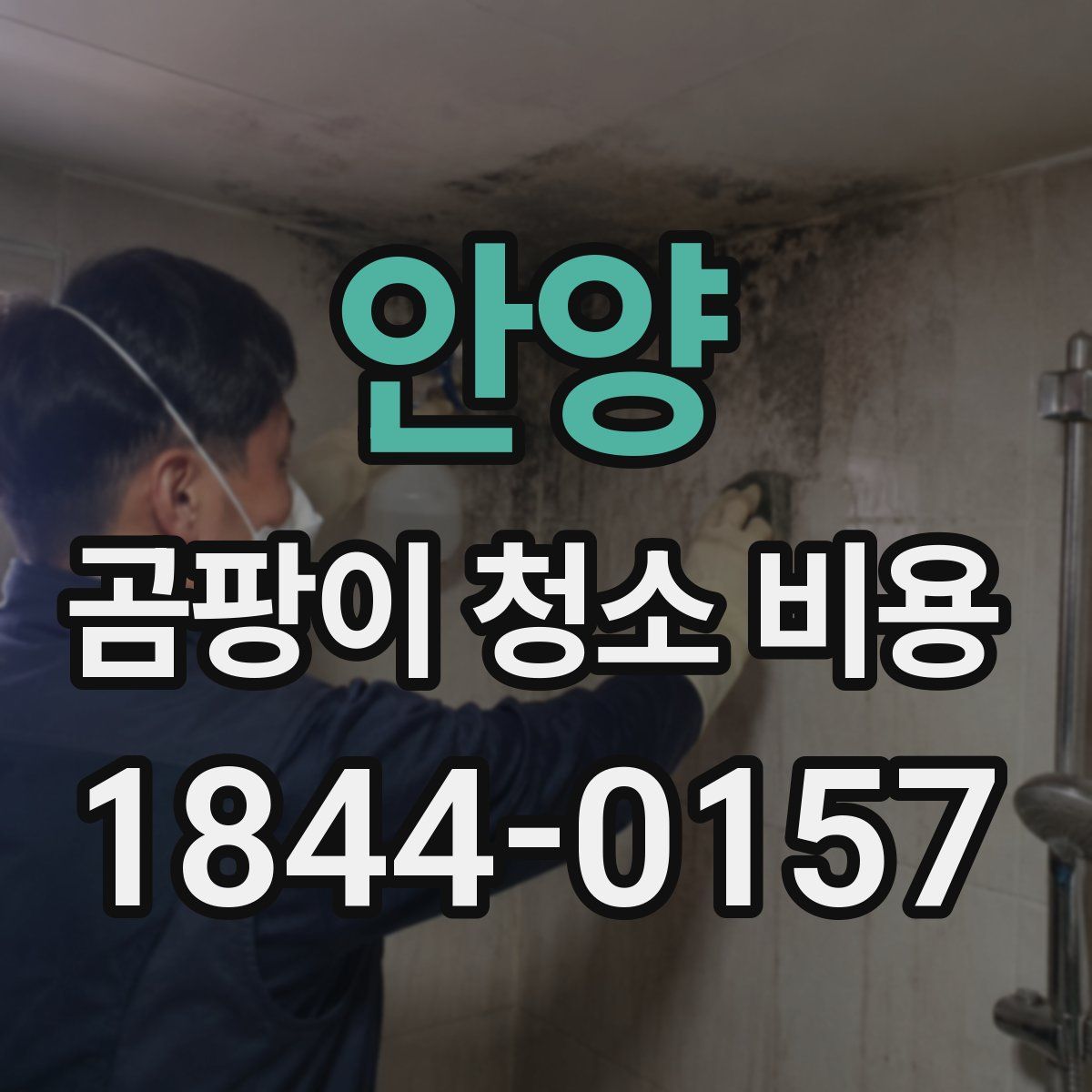 안양 곰팡이 청소 비용