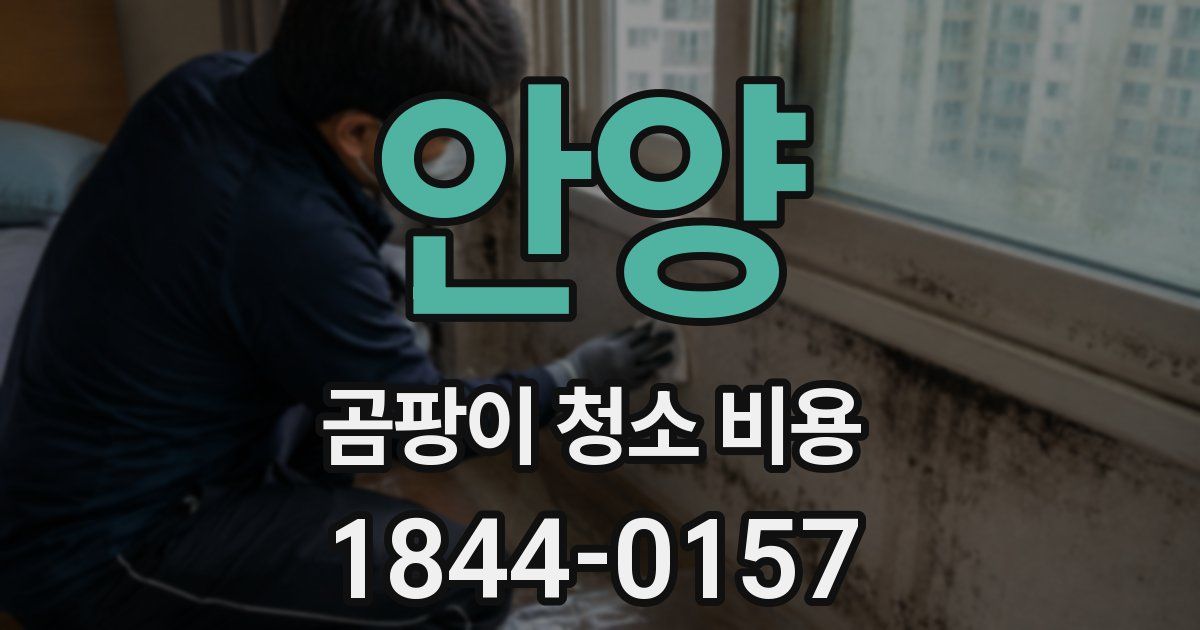 안양 곰팡이 청소 비용