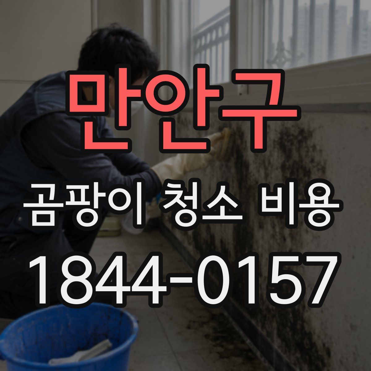 만안구 곰팡이 청소 비용