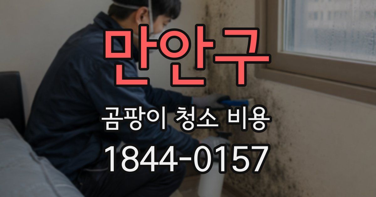 만안구 곰팡이 청소 비용