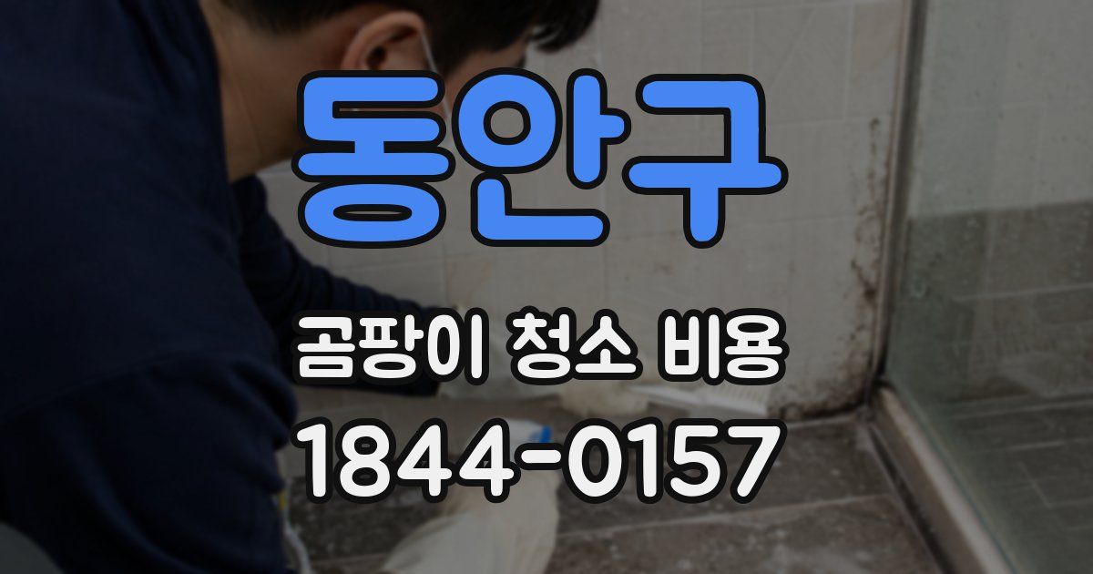 동안구 곰팡이 청소 비용
