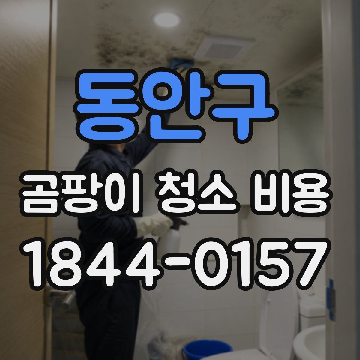 동안구 곰팡이 청소 비용