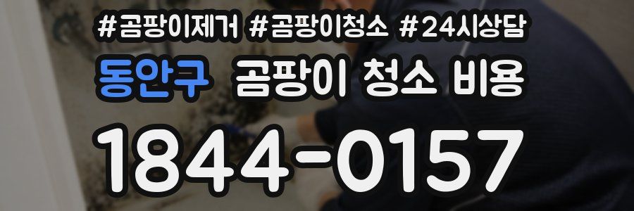 동안구 곰팡이 청소 비용