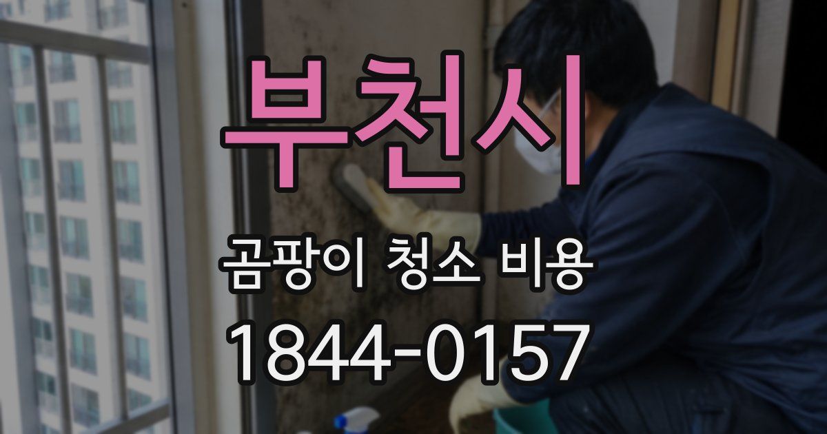 부천시 곰팡이 청소 비용