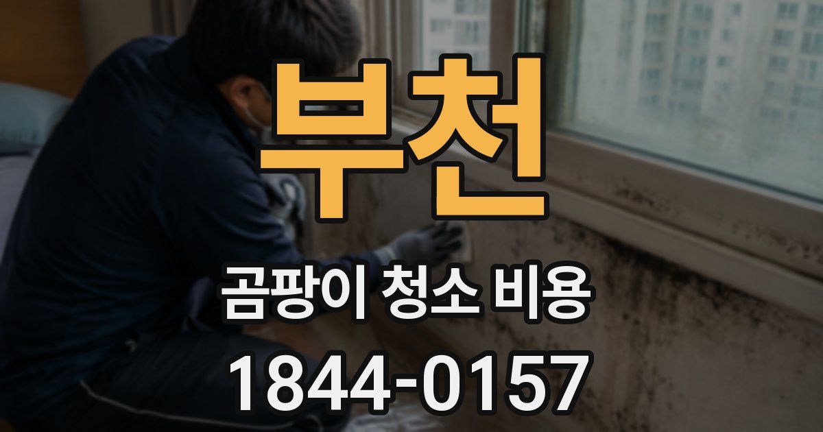부천 곰팡이 청소 비용