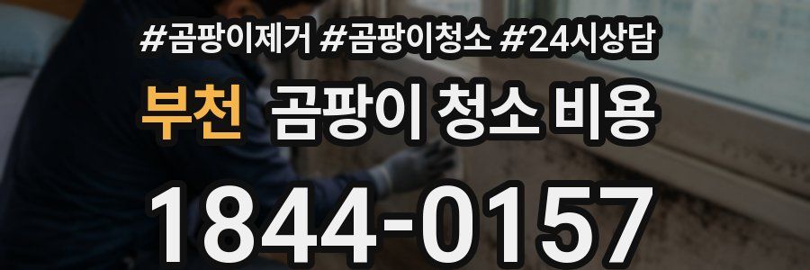 부천 곰팡이 청소 비용