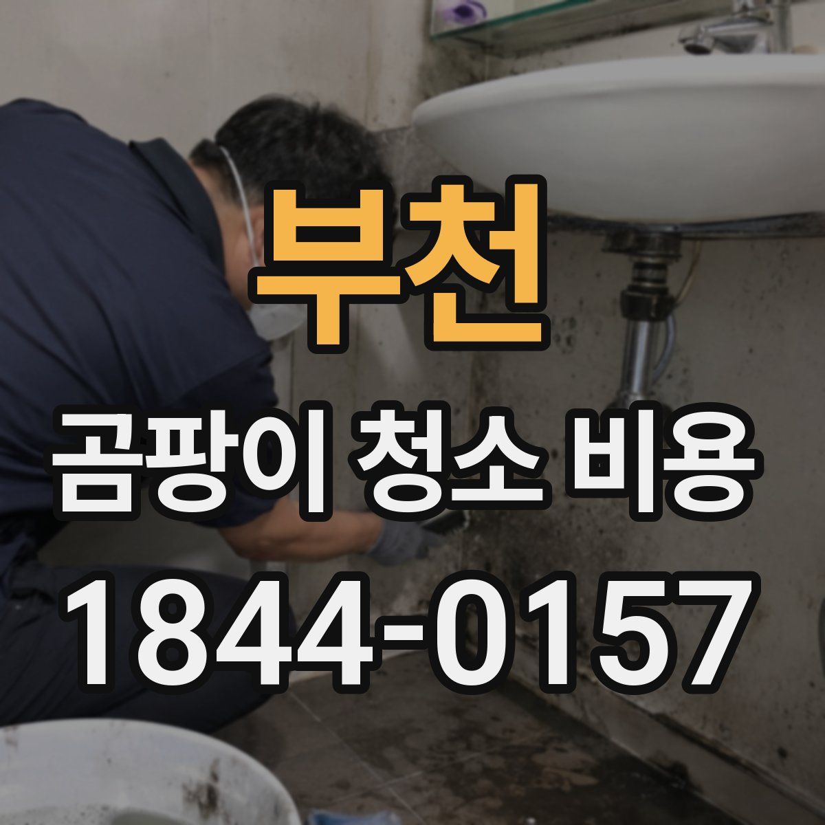 부천 곰팡이 청소 비용